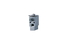 Expansion Valve