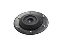 Strut Mounting