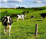Agricultrue